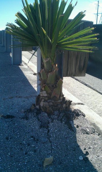 morning picdump 56 pics 19.html - 56 HD Photos | Premium Gallery 2011