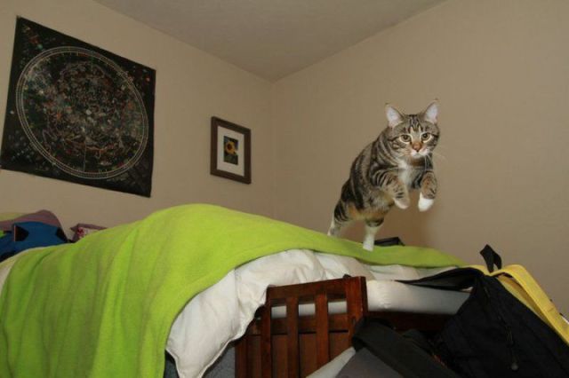 morning picdump 56 pics 19.html - 56 HD Photos | Premium Gallery 2011