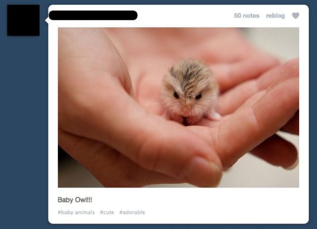 morning picdump 56 pics 19.html - 56 HD Photos | Premium Gallery 2011