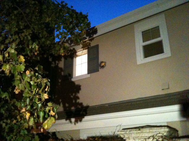 MythBusters Are Real Busters