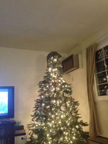 morning picdump 53 pics 4.html - 53 HD Photos | Premium Gallery 2011