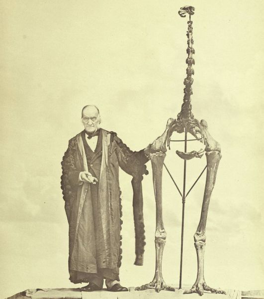 morning picdump 59 pics 19.html - 59 HD Photos | Premium Gallery 2011