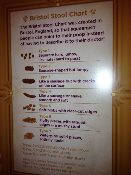 morning picdump 60 pics 3.html - 60 HD Photos | Premium Gallery 2011