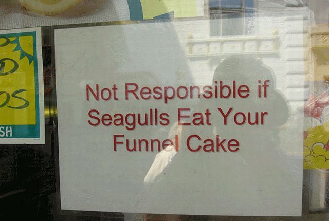 morning picdump 55 pics 13.html - 55 HD Photos | Premium Gallery 2011