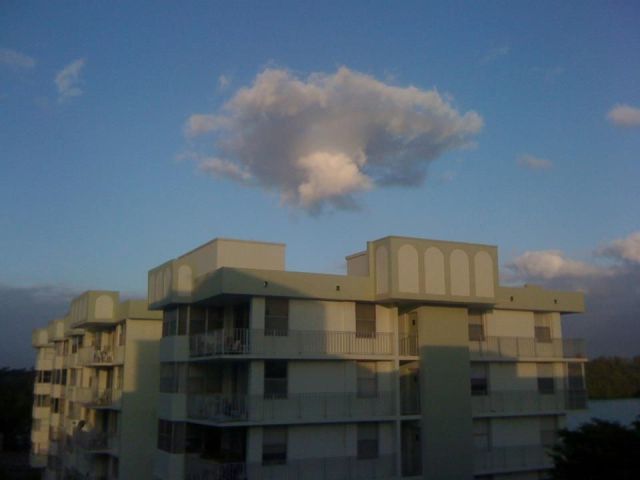 morning picdump 55 pics 13.html - 55 HD Photos | Premium Gallery 2011