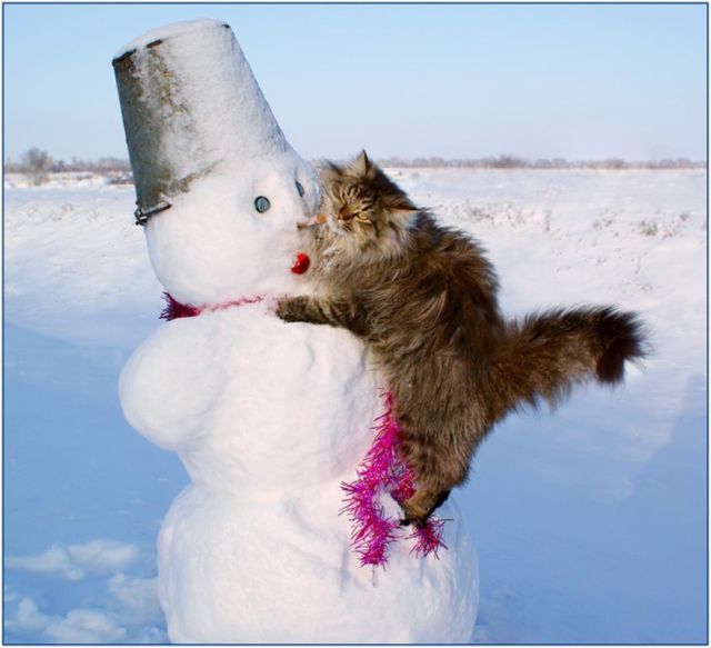 morning picdump 55 pics 13.html - 55 HD Photos | Premium Gallery 2011