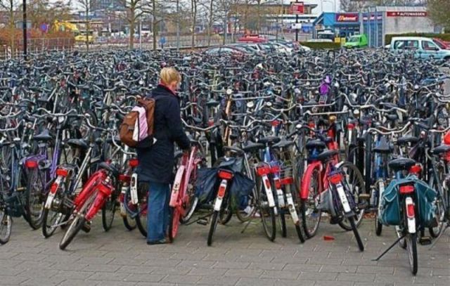 Daily Picdump [WEEKEND EDITION]