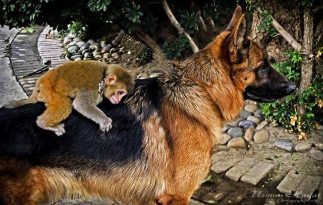 daily picdump weekend edition 89 pics 20.html - 89 HD Photos | Premium Gallery 2011