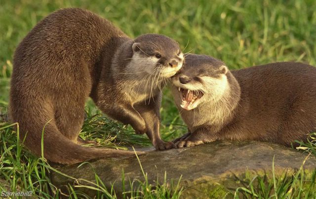 daily picdump weekend edition 89 pics 20.html - 89 HD Photos | Premium Gallery 2011