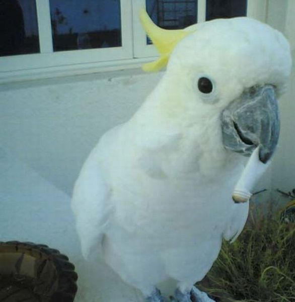 daily picdump weekend edition 89 pics 20.html - 89 HD Photos | Premium Gallery 2011