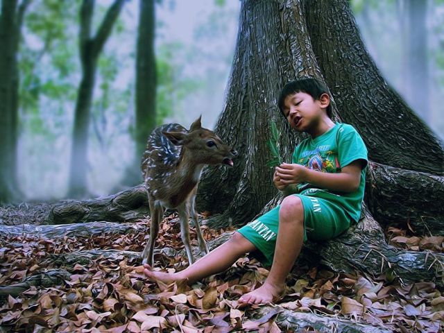 daily picdump weekend edition 89 pics 20.html - 89 HD Photos | Premium Gallery 2011