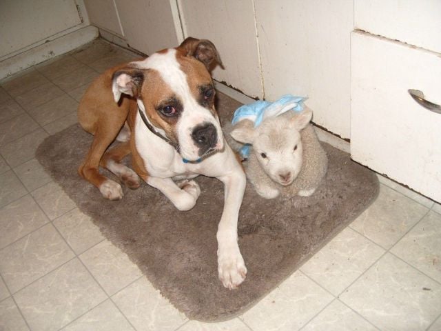 daily picdump weekend edition 89 pics 20.html - 89 HD Photos | Premium Gallery 2011