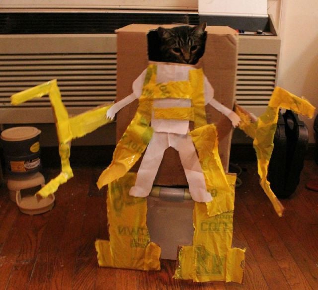 daily picdump weekend edition 89 pics 20.html - 89 HD Photos | Premium Gallery 2011