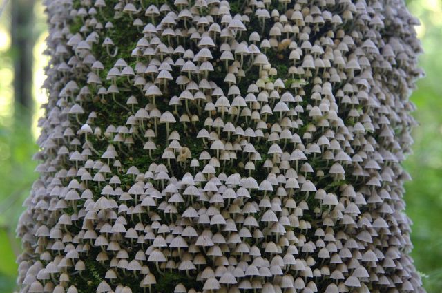 daily picdump weekend edition 89 pics 20.html - 89 HD Photos | Premium Gallery 2011