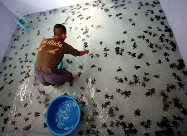 morning picdump 55 pics 2.html - 55 HD Photos | Premium Gallery 2011