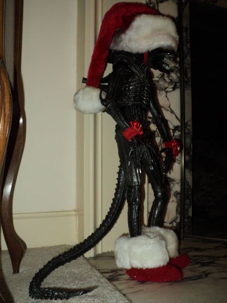 morning picdump 55 pics 2.html - 55 HD Photos | Premium Gallery 2011