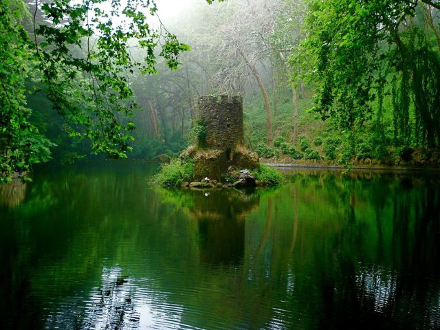 morning picdump 55 pics 2.html - 55 HD Photos | Premium Gallery 2011