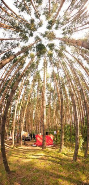 morning picdump 52 pics 3.html - 52 HD Photos | Premium Gallery 2011