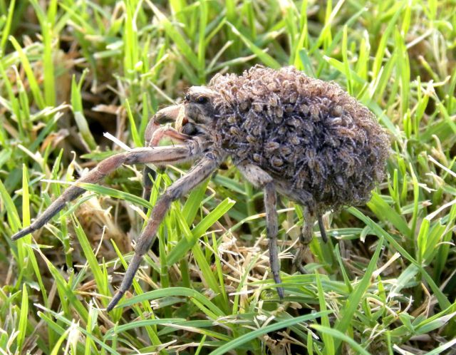 morning picdump 52 pics 3.html - 52 HD Photos | Premium Gallery 2011