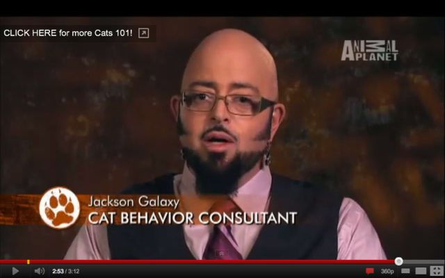 daily picdump 96 pics 41.html - 96 HD Photos | Premium Gallery 2011