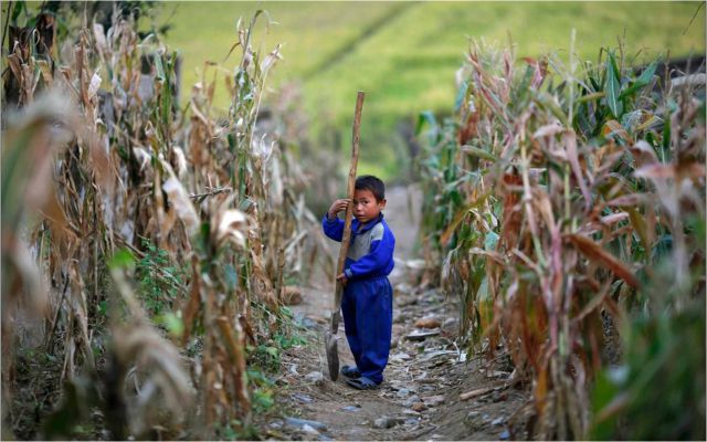 daily picdump 96 pics 41.html - 96 HD Photos | Premium Gallery 2011