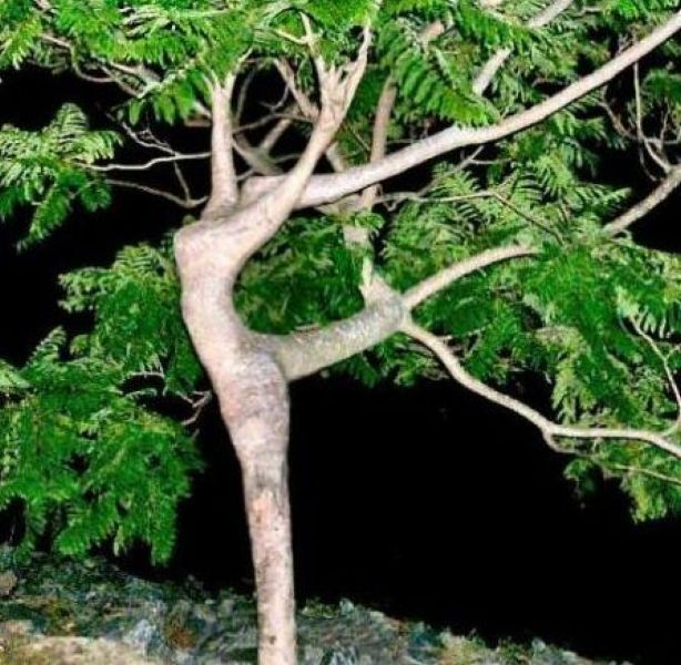 daily picdump 96 pics 41.html - 96 HD Photos | Premium Gallery 2011