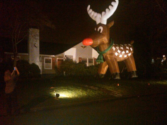 daily picdump 96 pics 41.html - 96 HD Photos | Premium Gallery 2011