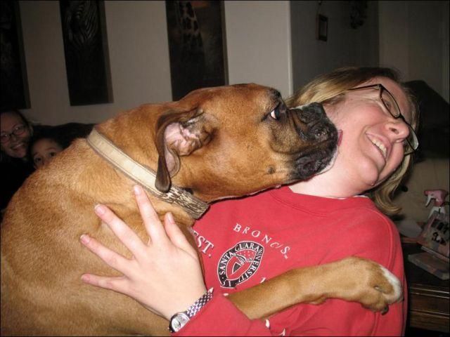 morning picdump 64 pics 29.html - 64 HD Photos | Premium Gallery 2011