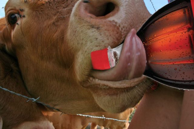 morning picdump 64 pics 29.html - 64 HD Photos | Premium Gallery 2011