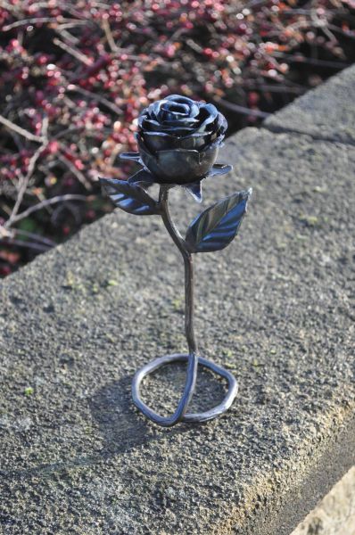 morning picdump 64 pics 29.html - 64 HD Photos | Premium Gallery 2011