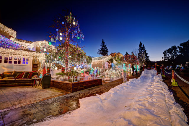 daily picdump 100 pics 3.html - 100 HD Photos | Premium Gallery 2011