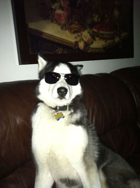 daily picdump 100 pics 3.html - 100 HD Photos | Premium Gallery 2011