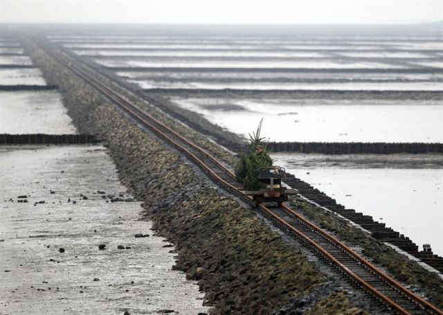 daily picdump 100 pics 3.html - 100 HD Photos | Premium Gallery 2011