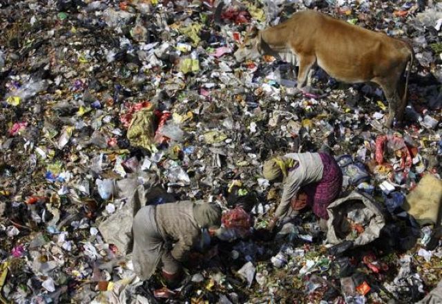 daily picdump 100 pics 3.html - 100 HD Photos | Premium Gallery 2011