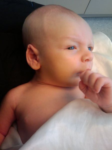 daily picdump 100 pics 3.html - 100 HD Photos | Premium Gallery 2011