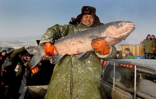 morning picdump 64 pics 28.html - 64 HD Photos | Premium Gallery 2011