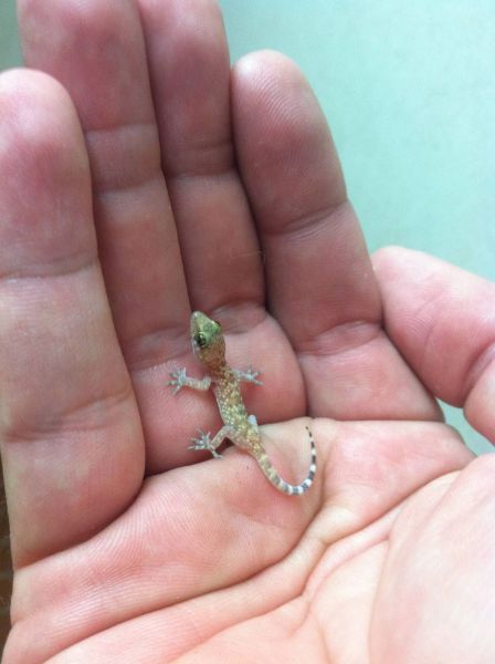 morning picdump 64 pics 28.html - 64 HD Photos | Premium Gallery 2011