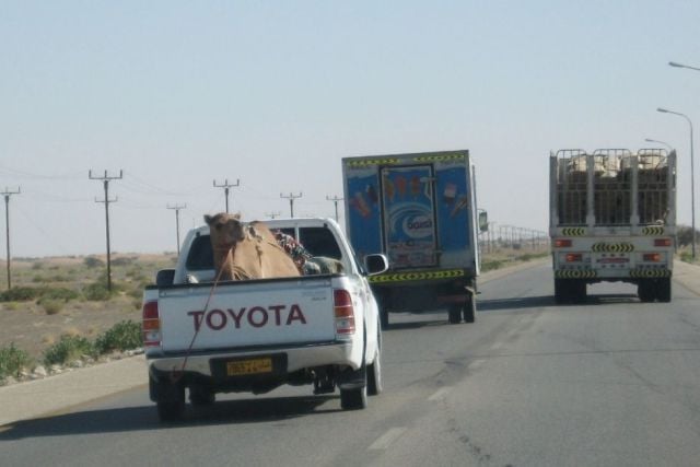 morning picdump 64 pics 28.html - 64 HD Photos | Premium Gallery 2011