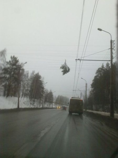 morning picdump 57 pics 22.html - 57 HD Photos | Premium Gallery 2011