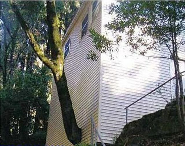 Hilarious Construction Fails