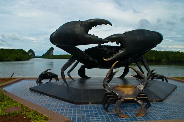 daily picdump 84 pics 42.html - 84 HD Photos | Premium Gallery 2012