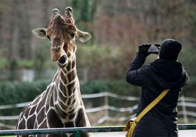 daily picdump 84 pics 42.html - 84 HD Photos | Premium Gallery 2012