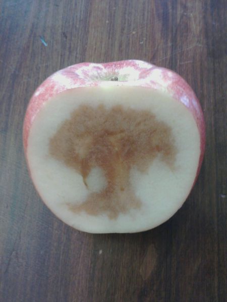 morning picdump 57 pics 5.html - 57 HD Photos | Premium Gallery 2012