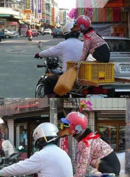 morning picdump 60 pics 26.html - 60 HD Photos | Premium Gallery 2012