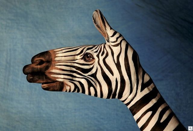 morning picdump 57 pics 19.html - 57 HD Photos | Premium Gallery 2012