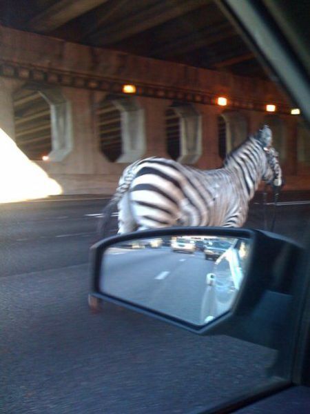 morning picdump 57 pics 19.html - 57 HD Photos | Premium Gallery 2012