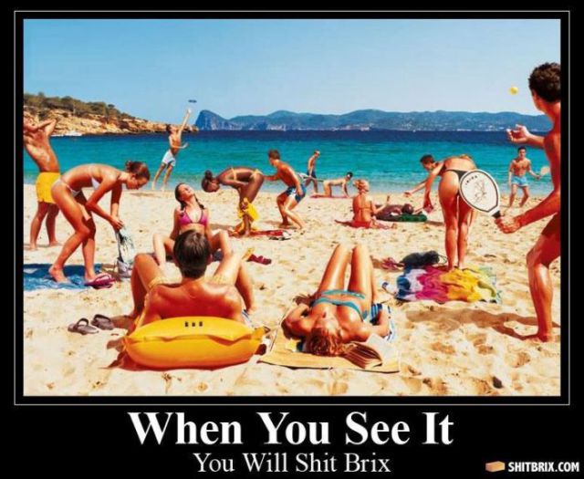 Hilarious and Puzzling ShitBrix Memes. Part 2