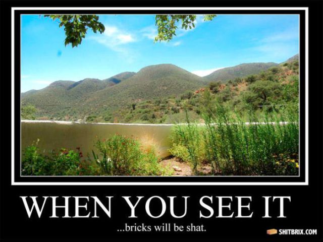 Hilarious and Puzzling ShitBrix Memes. Part 2