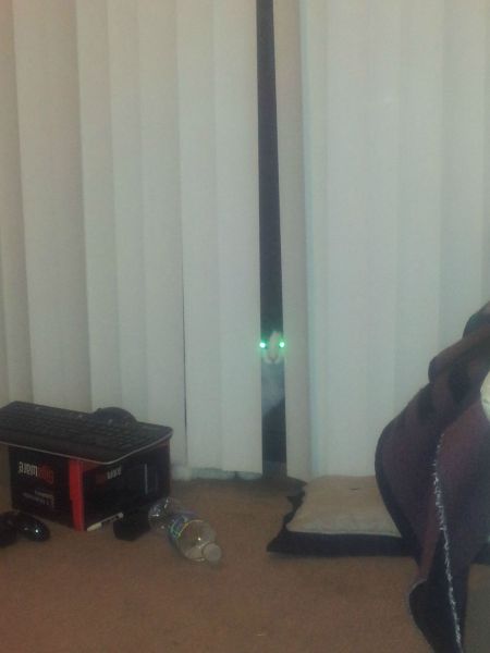 morning picdump 57 pics 27.html - 57 HD Photos | Premium Gallery 2012