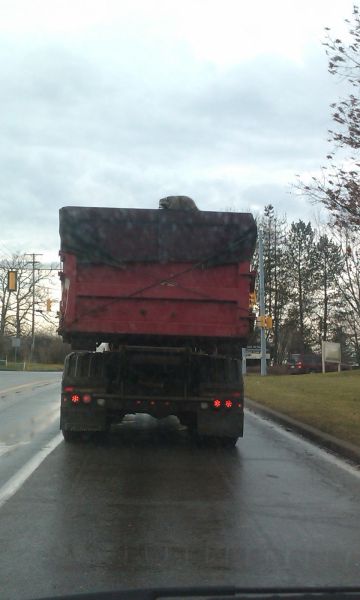 morning picdump 57 pics 27.html - 57 HD Photos | Premium Gallery 2012